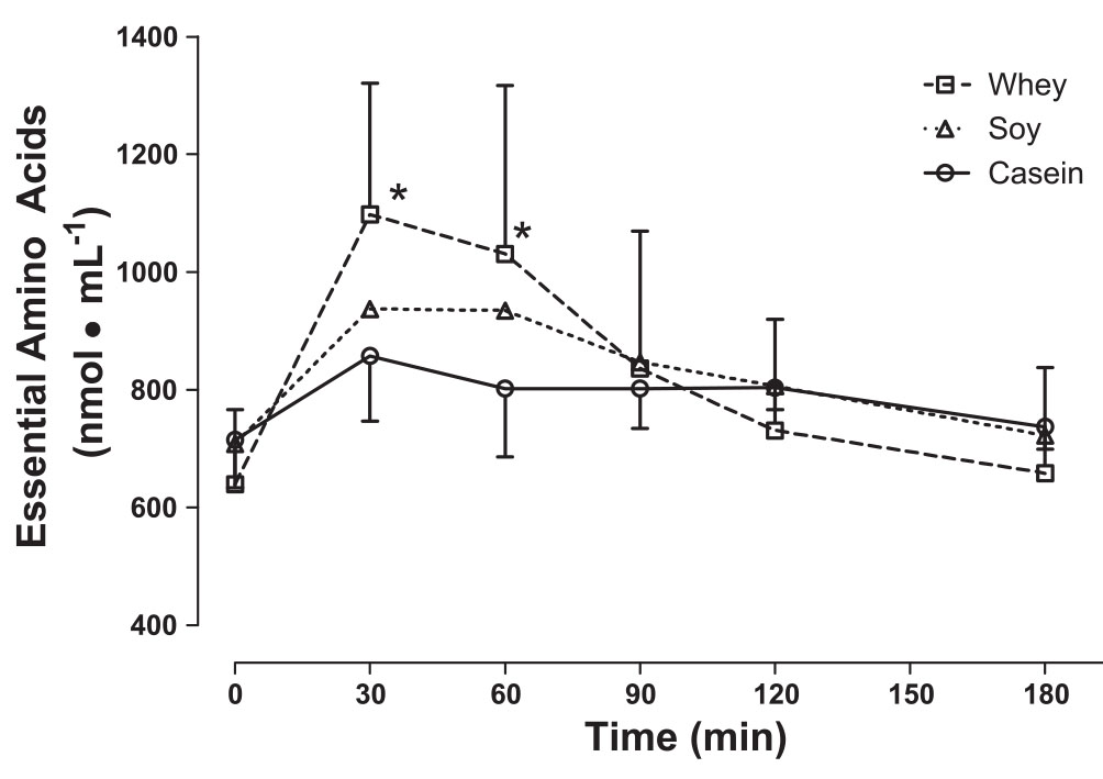Role of Casein in Preventing Muscle Breakdown MuscleBlaze